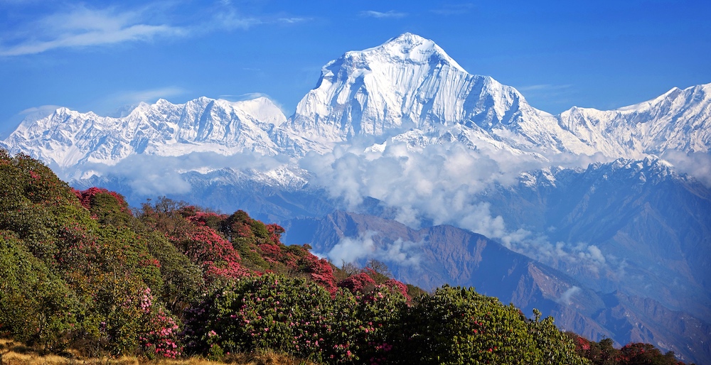 Himalayan Panorama