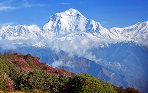 Himalayan Panorama